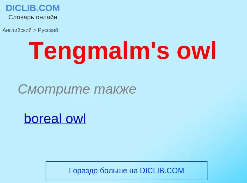 What is the الروسية for Tengmalm's owl? Translation of &#39Tengmalm's owl&#39 to الروسية