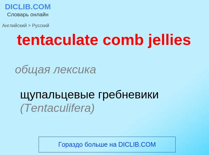 ¿Cómo se dice tentaculate comb jellies en Ruso? Traducción de &#39tentaculate comb jellies&#39 al Ru