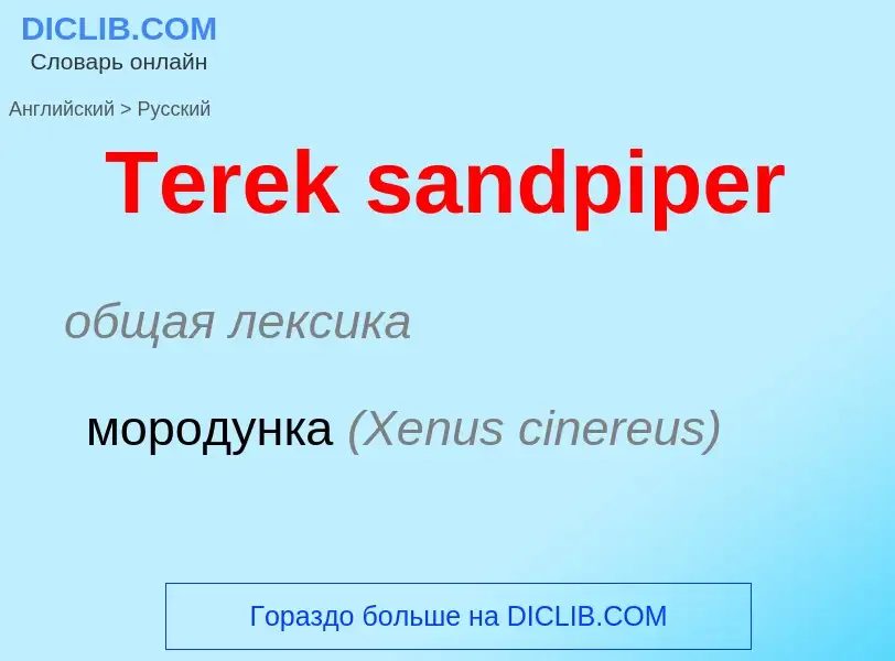 What is the الروسية for Terek sandpiper? Translation of &#39Terek sandpiper&#39 to الروسية