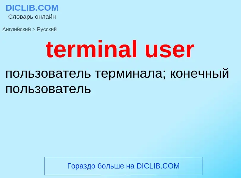 What is the Russian for terminal user? Translation of &#39terminal user&#39 to Russian