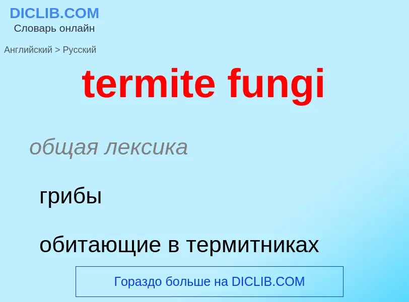 Traduction de &#39termite fungi&#39 en Russe