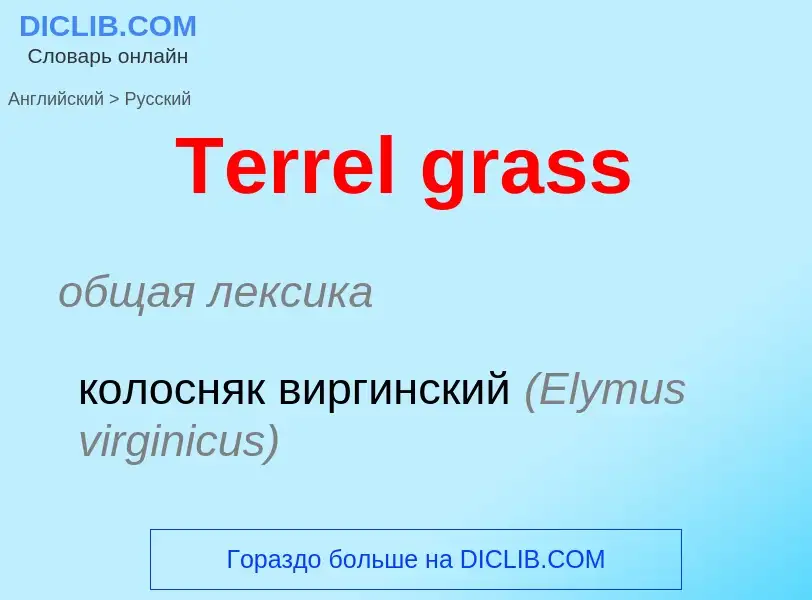 What is the الروسية for Terrel grass? Translation of &#39Terrel grass&#39 to الروسية