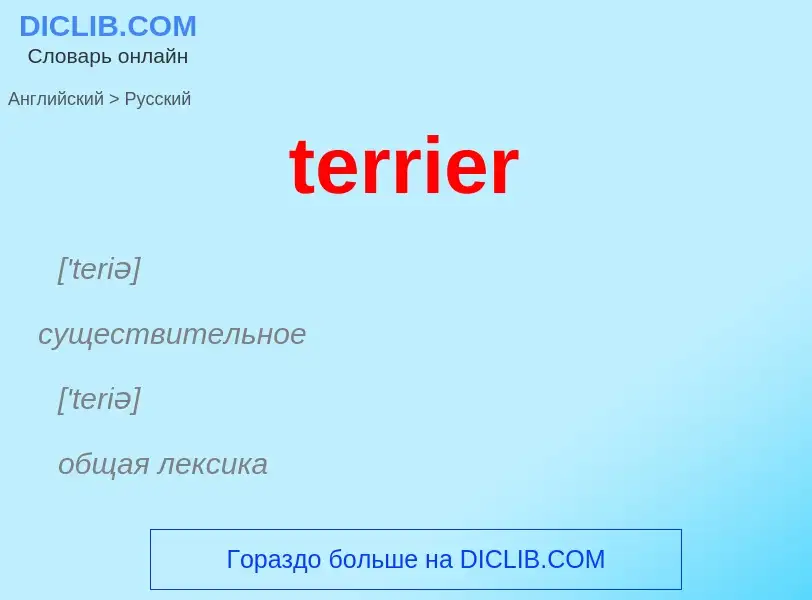 What is the الروسية for terrier? Translation of &#39terrier&#39 to الروسية