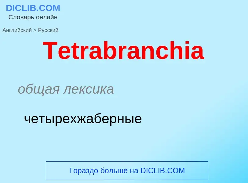 What is the الروسية for Tetrabranchia? Translation of &#39Tetrabranchia&#39 to الروسية