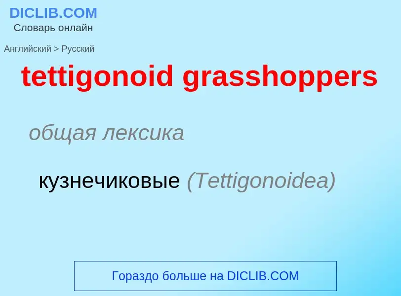 Как переводится tettigonoid grasshoppers на Русский язык