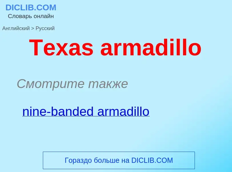 What is the الروسية for Texas armadillo? Translation of &#39Texas armadillo&#39 to الروسية