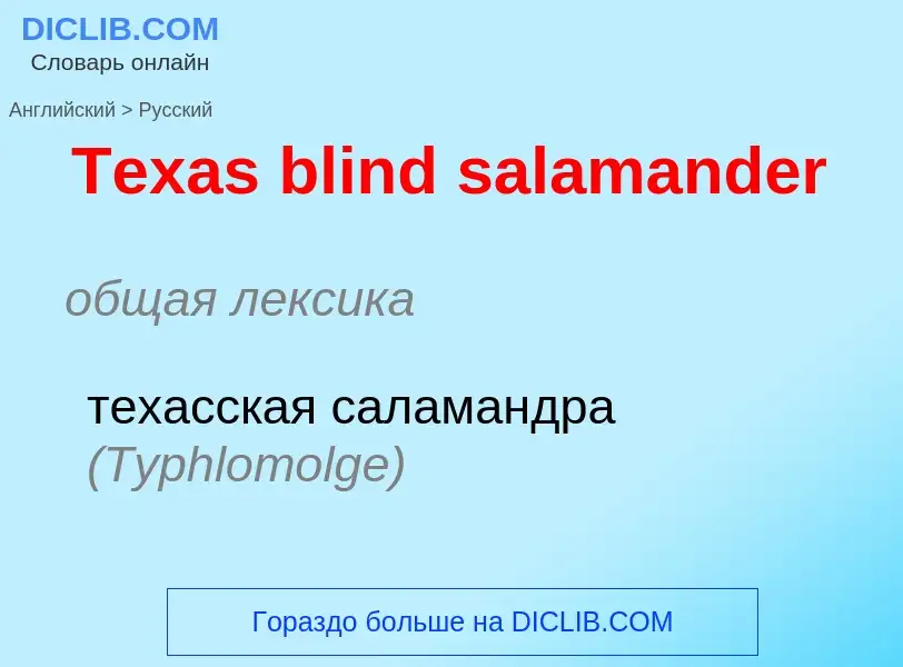 What is the الروسية for Texas blind salamander? Translation of &#39Texas blind salamander&#39 to الر