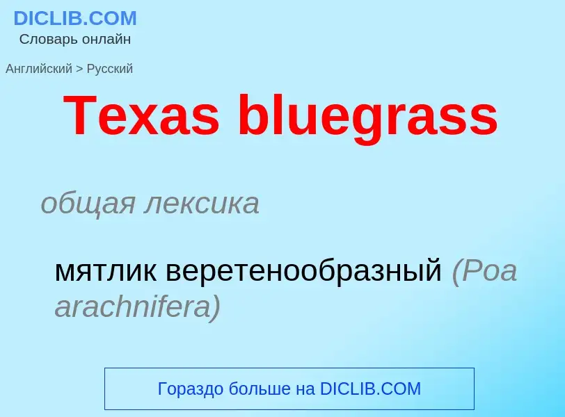 What is the الروسية for Texas bluegrass? Translation of &#39Texas bluegrass&#39 to الروسية