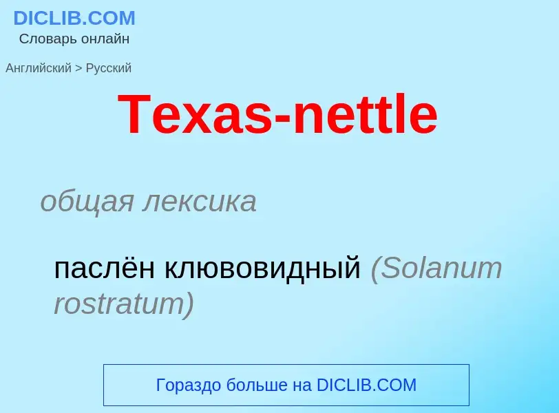 What is the الروسية for Texas-nettle? Translation of &#39Texas-nettle&#39 to الروسية