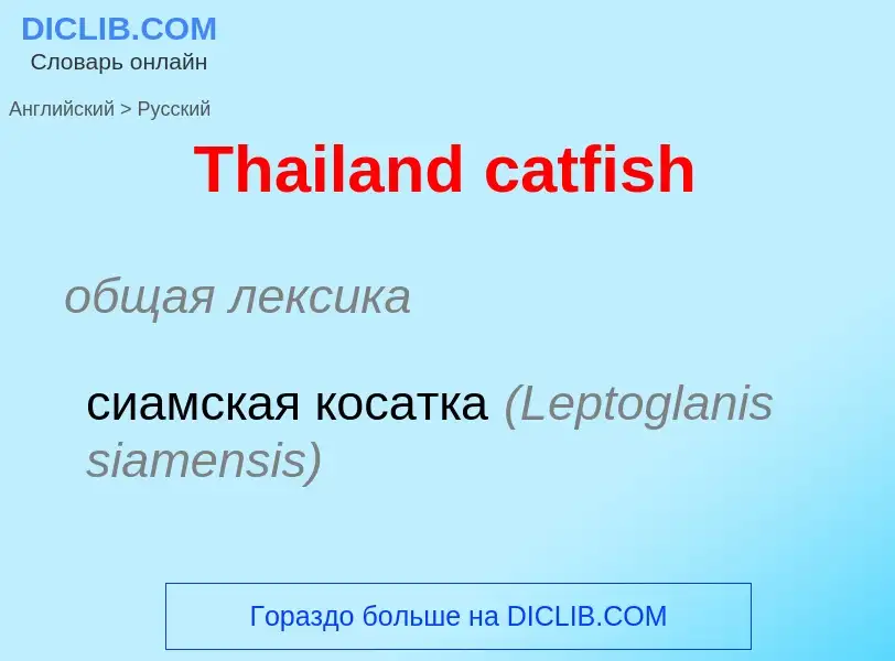 What is the الروسية for Thailand catfish? Translation of &#39Thailand catfish&#39 to الروسية