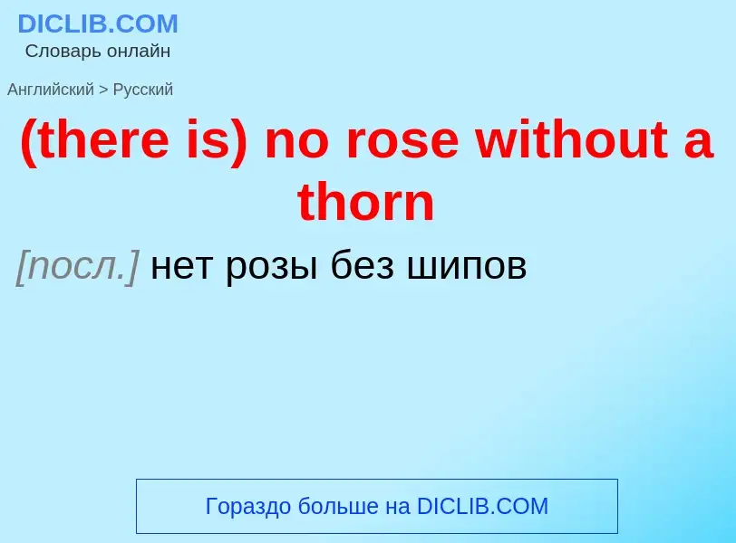 Как переводится (there is) no rose without a thorn на Русский язык