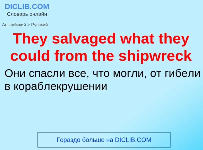 What is the الروسية for They salvaged what they could from the shipwreck? Translation of &#39They sa