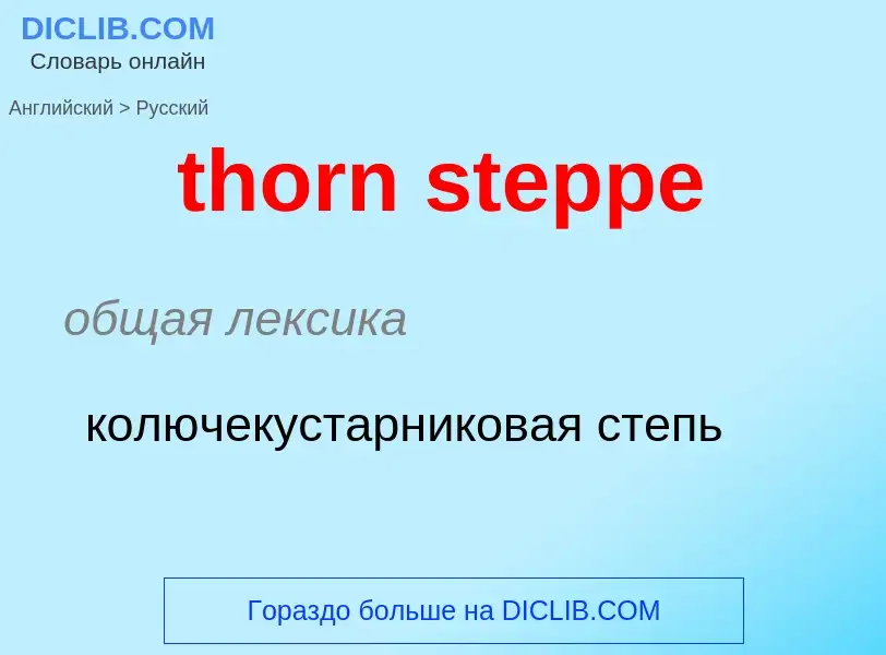 Как переводится thorn steppe на Русский язык