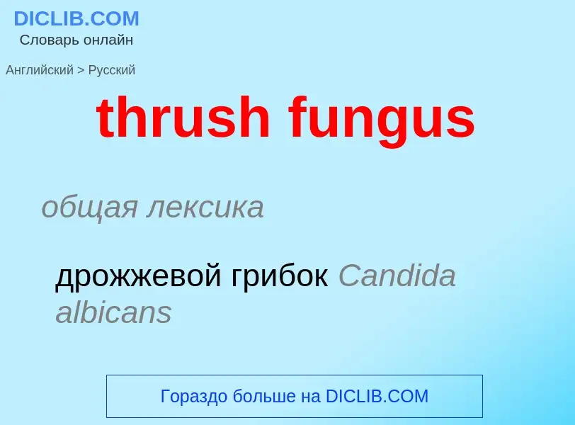 Traduction de &#39thrush fungus&#39 en Russe