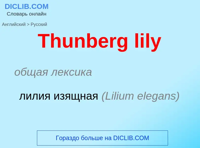 What is the الروسية for Thunberg lily? Translation of &#39Thunberg lily&#39 to الروسية