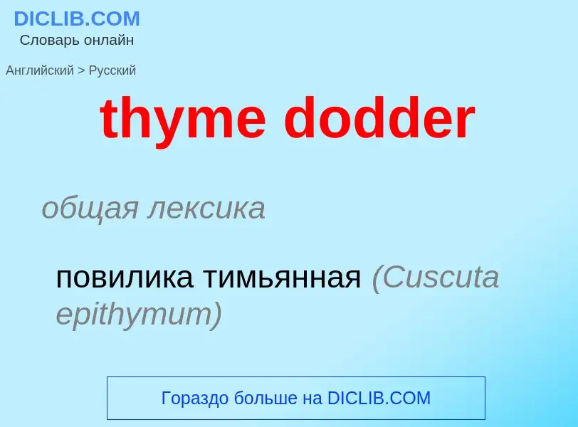 Как переводится thyme dodder на Русский язык