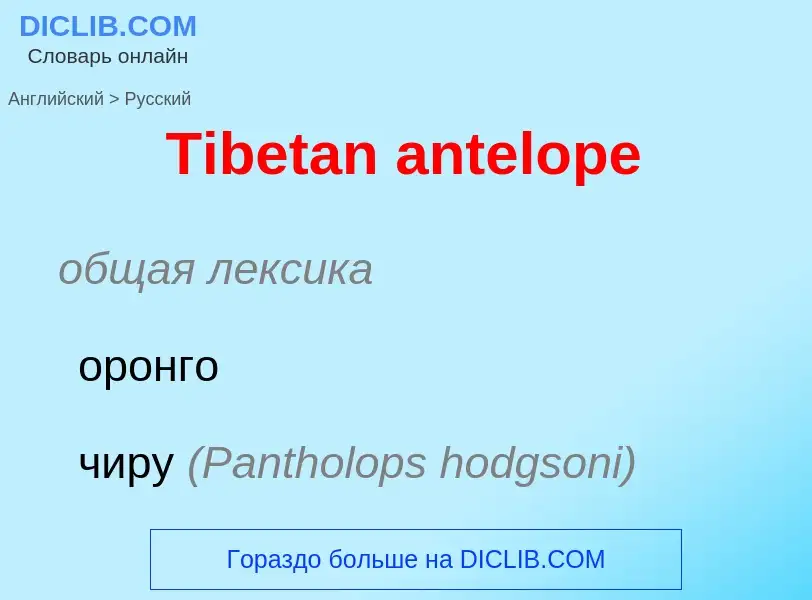 ¿Cómo se dice Tibetan antelope en Ruso? Traducción de &#39Tibetan antelope&#39 al Ruso