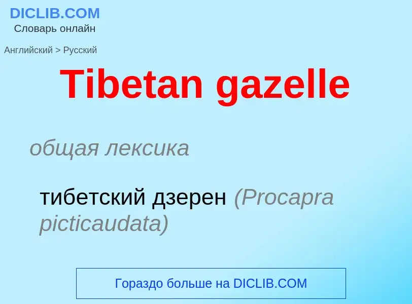 Como se diz Tibetan gazelle em Russo? Tradução de &#39Tibetan gazelle&#39 em Russo