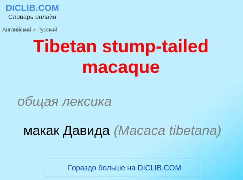 What is the الروسية for Tibetan stump-tailed macaque? Translation of &#39Tibetan stump-tailed macaqu