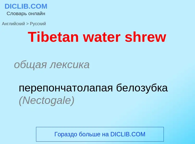 What is the الروسية for Tibetan water shrew? Translation of &#39Tibetan water shrew&#39 to الروسية