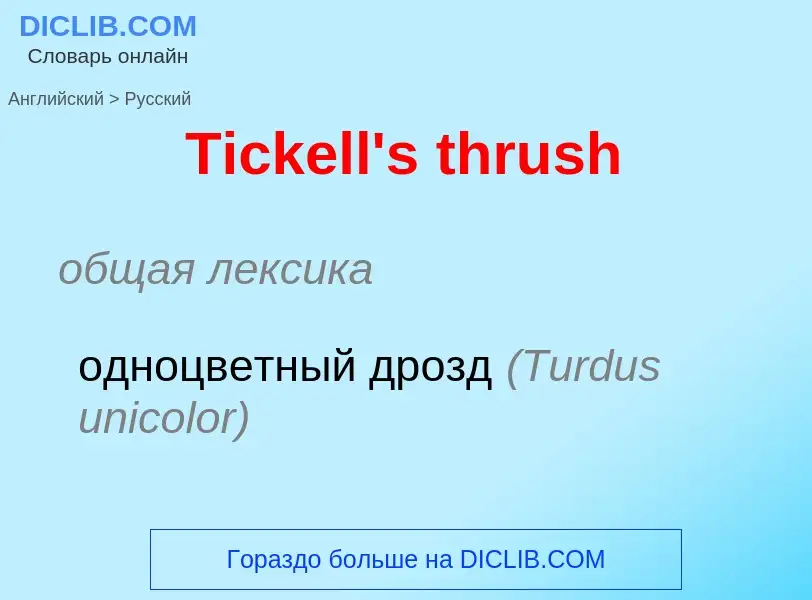 ¿Cómo se dice Tickell's thrush en Ruso? Traducción de &#39Tickell's thrush&#39 al Ruso