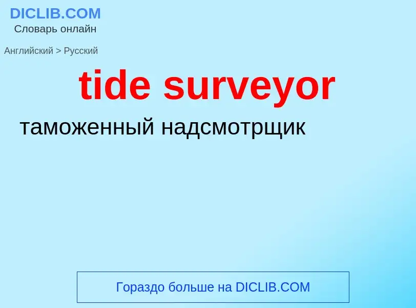 Как переводится tide surveyor на Русский язык