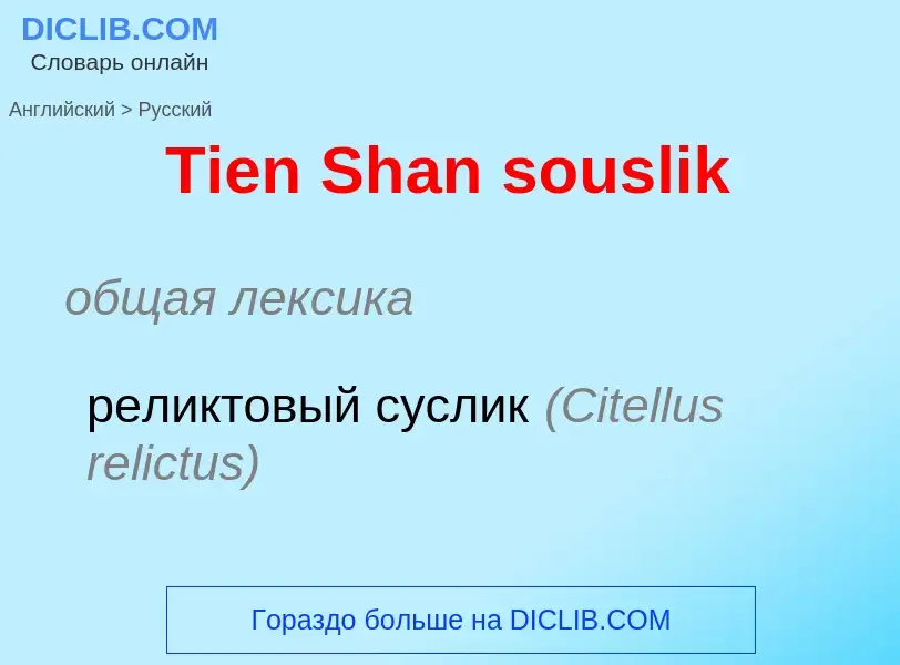 What is the الروسية for Tien Shan souslik? Translation of &#39Tien Shan souslik&#39 to الروسية