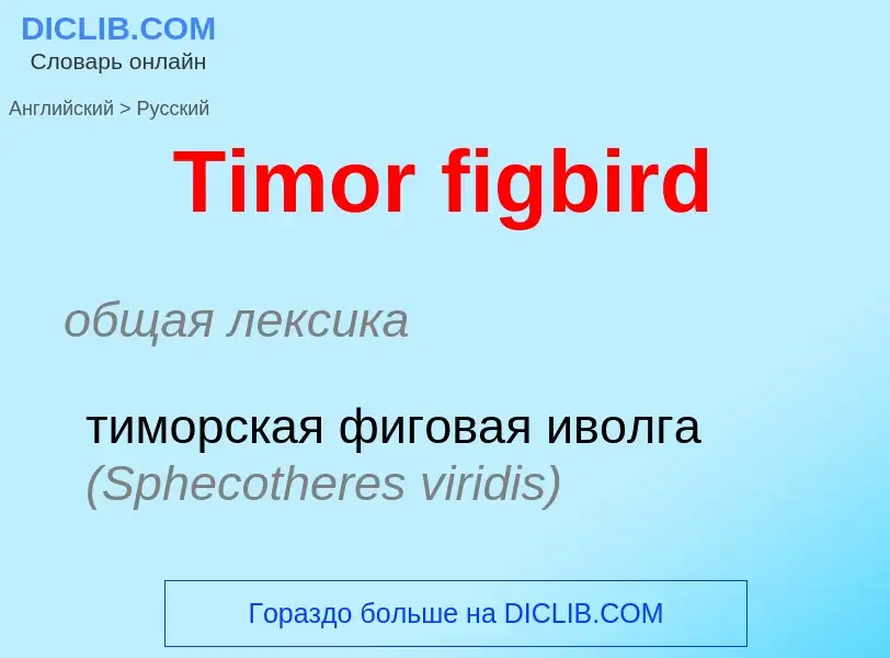 What is the الروسية for Timor figbird? Translation of &#39Timor figbird&#39 to الروسية