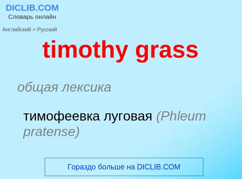 Traduzione di &#39timothy grass&#39 in Russo