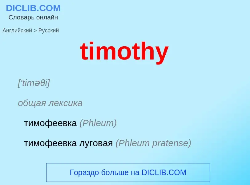 Como se diz timothy em Russo? Tradução de &#39timothy&#39 em Russo