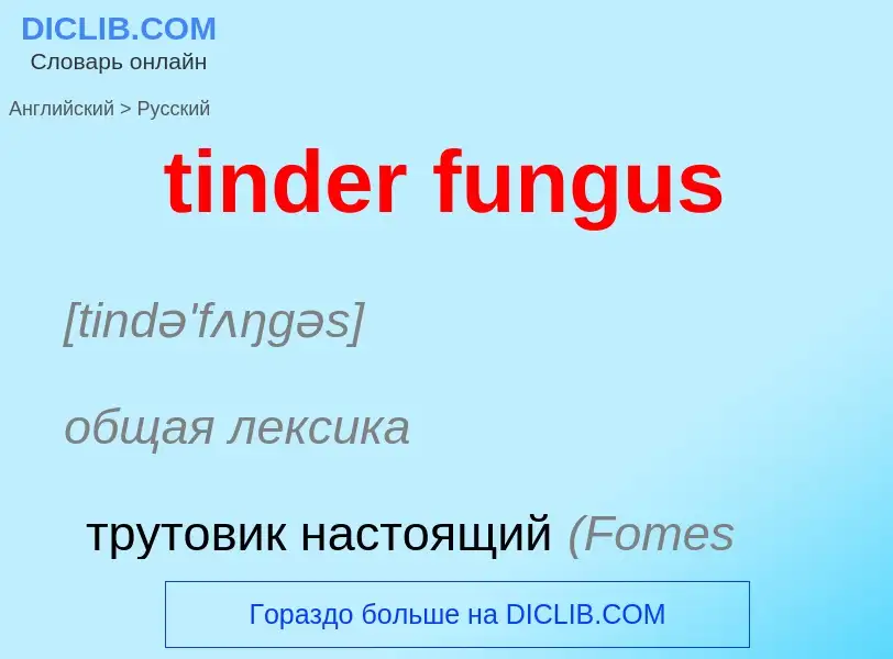 Μετάφραση του &#39tinder fungus&#39 σε Ρωσικά