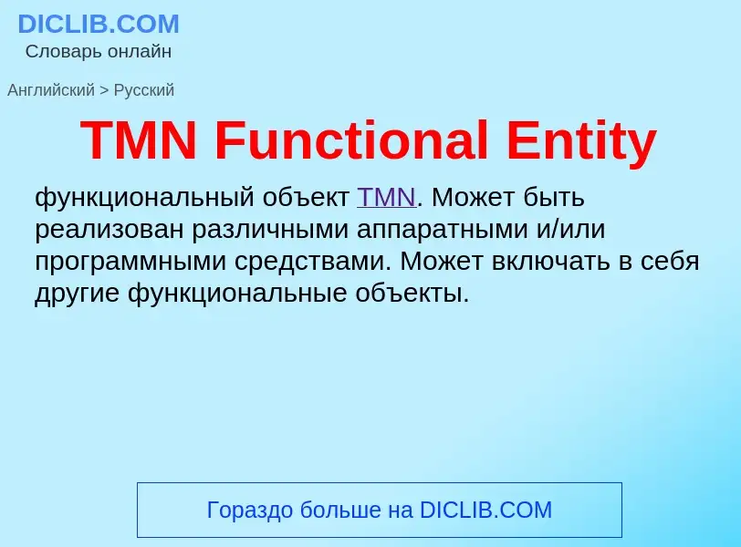 What is the الروسية for TMN Functional Entity? Translation of &#39TMN Functional Entity&#39 to الروس