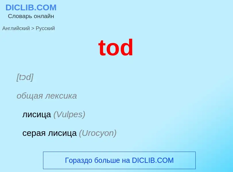 Como se diz tod em Russo? Tradução de &#39tod&#39 em Russo