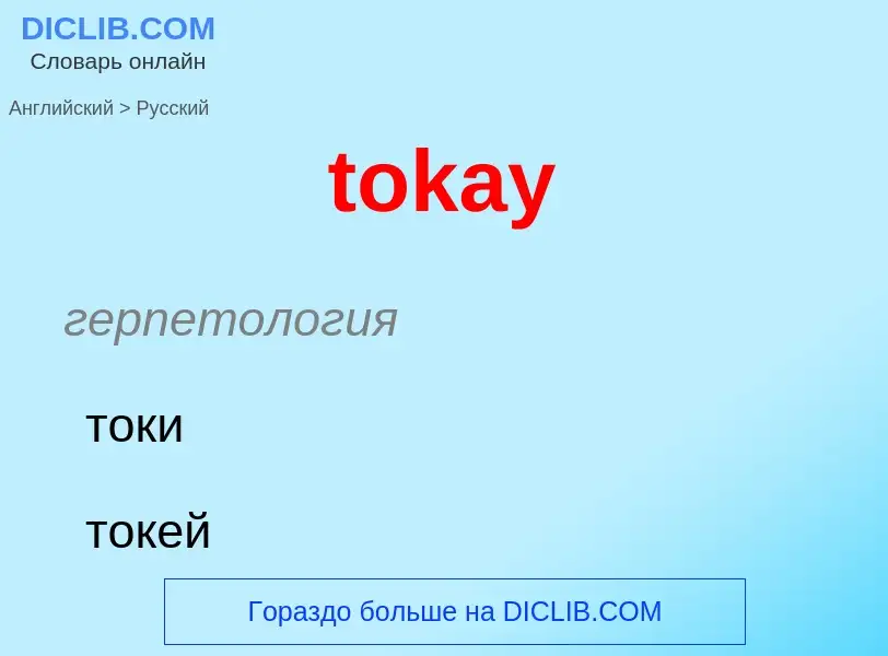 What is the الروسية for tokay? Translation of &#39tokay&#39 to الروسية