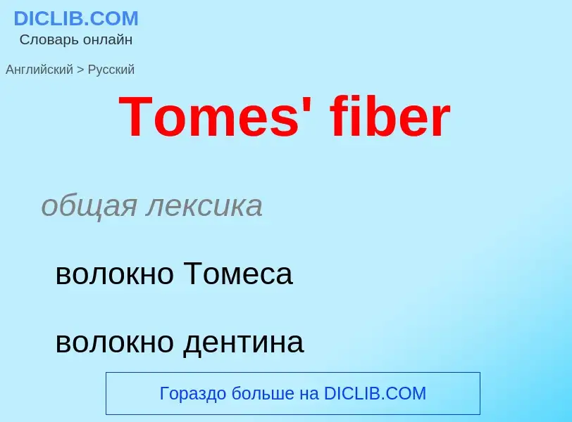 What is the الروسية for Tomes' fiber? Translation of &#39Tomes' fiber&#39 to الروسية