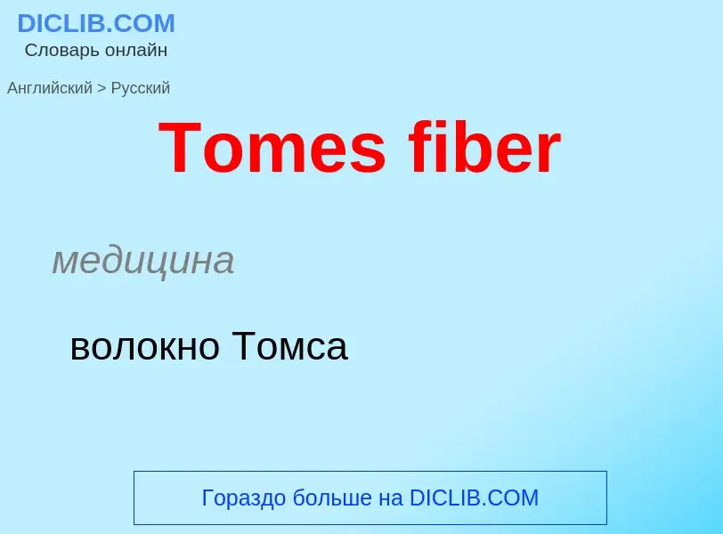 What is the الروسية for Tomes fiber? Translation of &#39Tomes fiber&#39 to الروسية