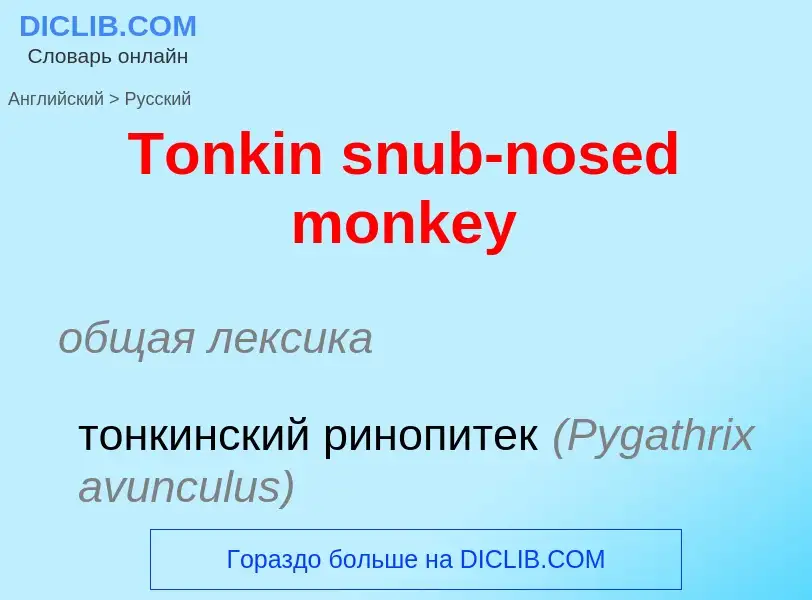 What is the الروسية for Tonkin snub-nosed monkey? Translation of &#39Tonkin snub-nosed monkey&#39 to