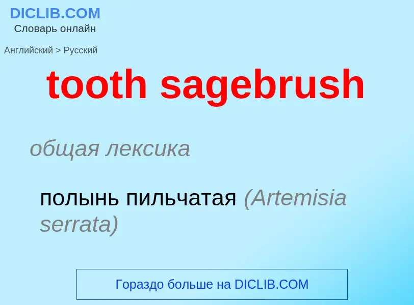 ¿Cómo se dice tooth sagebrush en Ruso? Traducción de &#39tooth sagebrush&#39 al Ruso