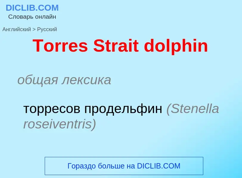 What is the الروسية for Torres Strait dolphin? Translation of &#39Torres Strait dolphin&#39 to الروس