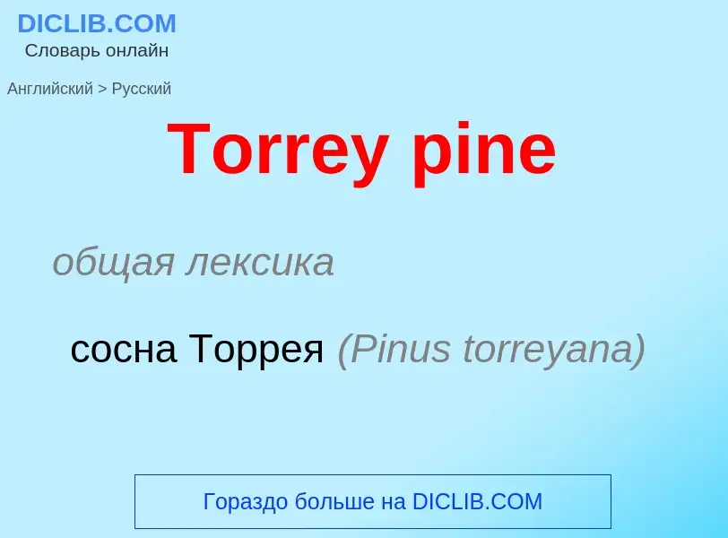 What is the الروسية for Torrey pine? Translation of &#39Torrey pine&#39 to الروسية