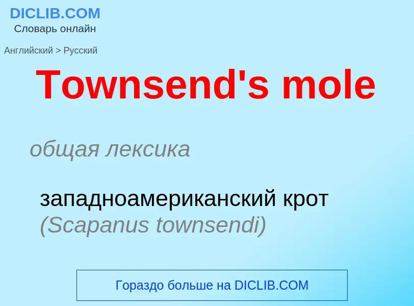 What is the الروسية for Townsend's mole? Translation of &#39Townsend's mole&#39 to الروسية