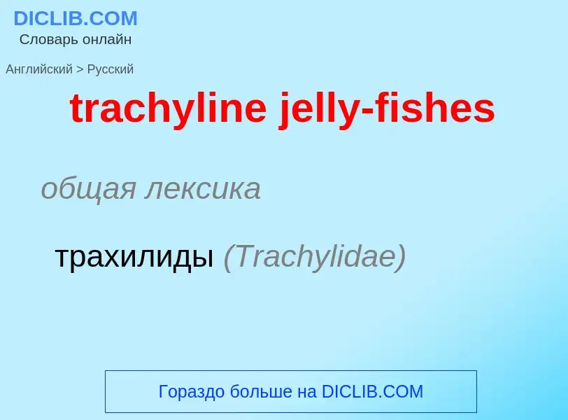 ¿Cómo se dice trachyline jelly-fishes en Ruso? Traducción de &#39trachyline jelly-fishes&#39 al Ruso