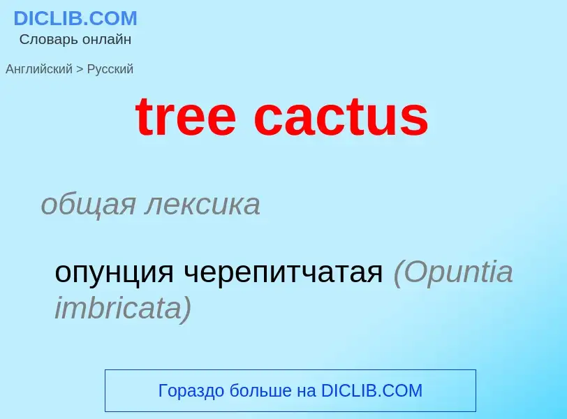 ¿Cómo se dice tree cactus en Ruso? Traducción de &#39tree cactus&#39 al Ruso