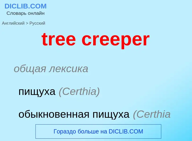 ¿Cómo se dice tree creeper en Ruso? Traducción de &#39tree creeper&#39 al Ruso