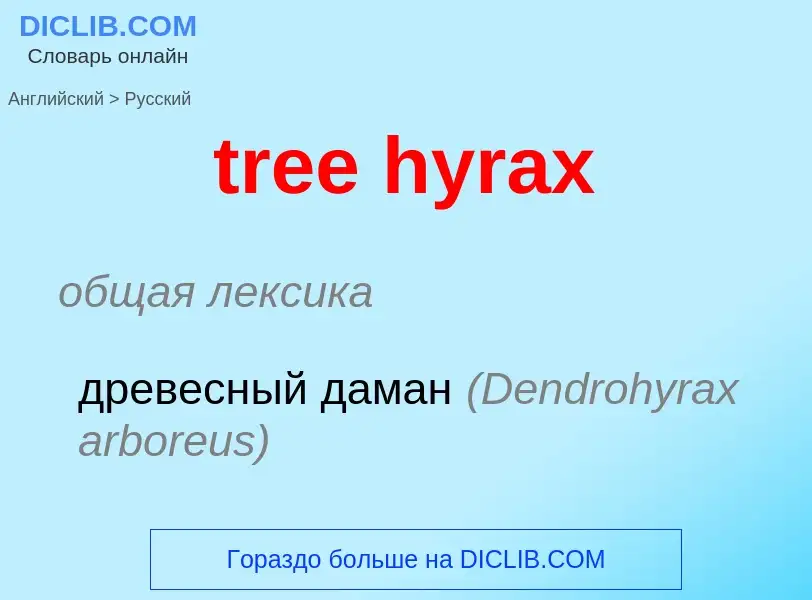 Как переводится tree hyrax на Русский язык