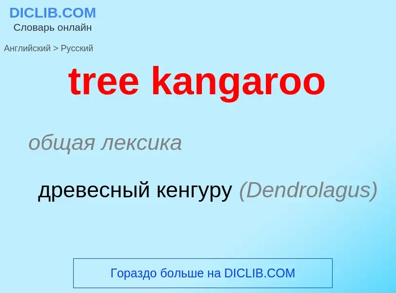 Как переводится tree kangaroo на Русский язык