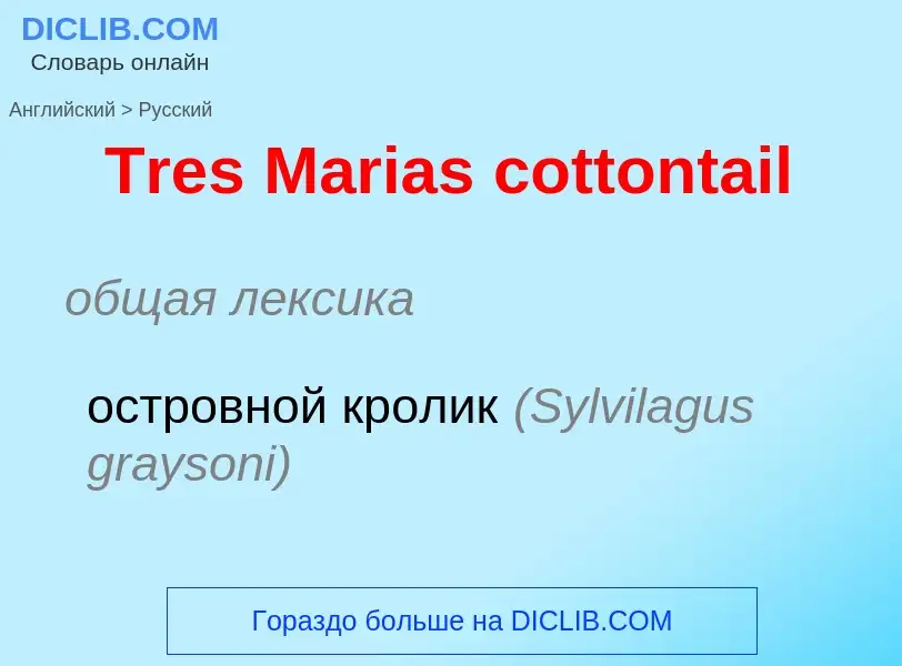 ¿Cómo se dice Tres Marias cottontail en Ruso? Traducción de &#39Tres Marias cottontail&#39 al Ruso