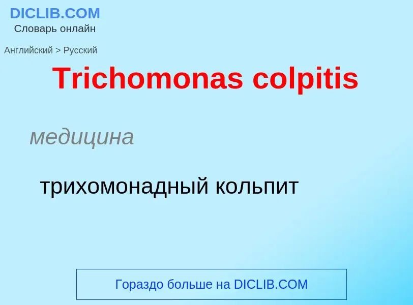 ¿Cómo se dice Trichomonas colpitis en Ruso? Traducción de &#39Trichomonas colpitis&#39 al Ruso