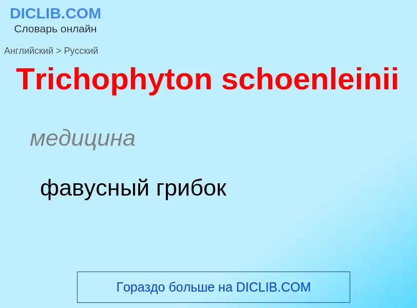 ¿Cómo se dice Trichophyton schoenleinii en Ruso? Traducción de &#39Trichophyton schoenleinii&#39 al 