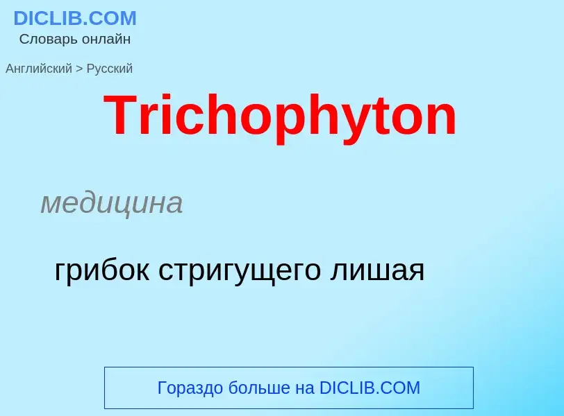 ¿Cómo se dice Trichophyton en Ruso? Traducción de &#39Trichophyton&#39 al Ruso